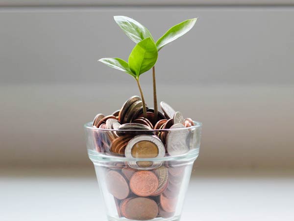 Plant growing from pot with coins to symbolize growing your money