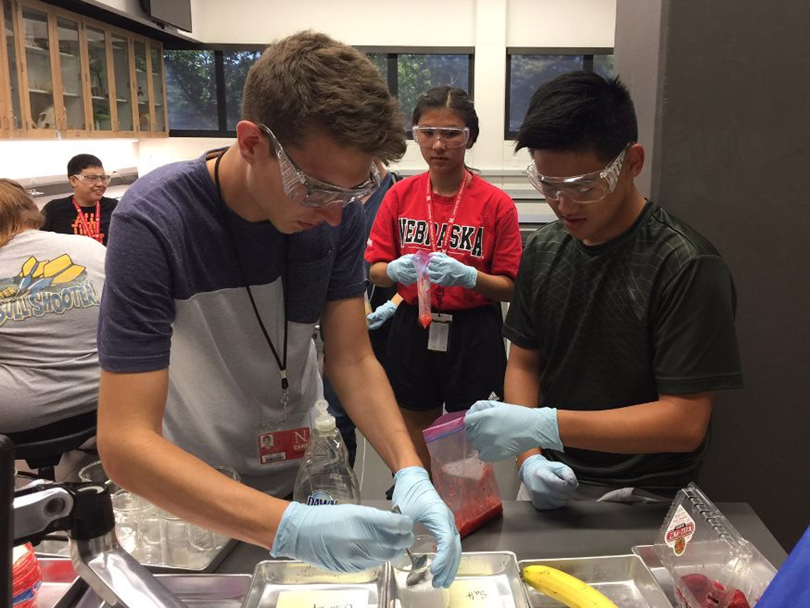 Three students work together on science project with strawberries