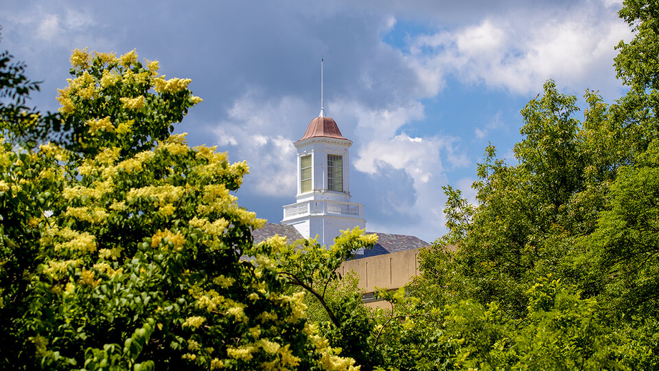Cupola atop Love Library.